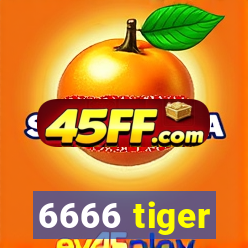 6666 tiger